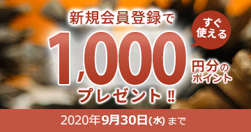 新規会員登録ポイントアップキャンペーン