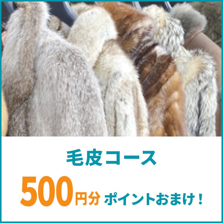 毛皮コースご利用で500ポイントおまけ