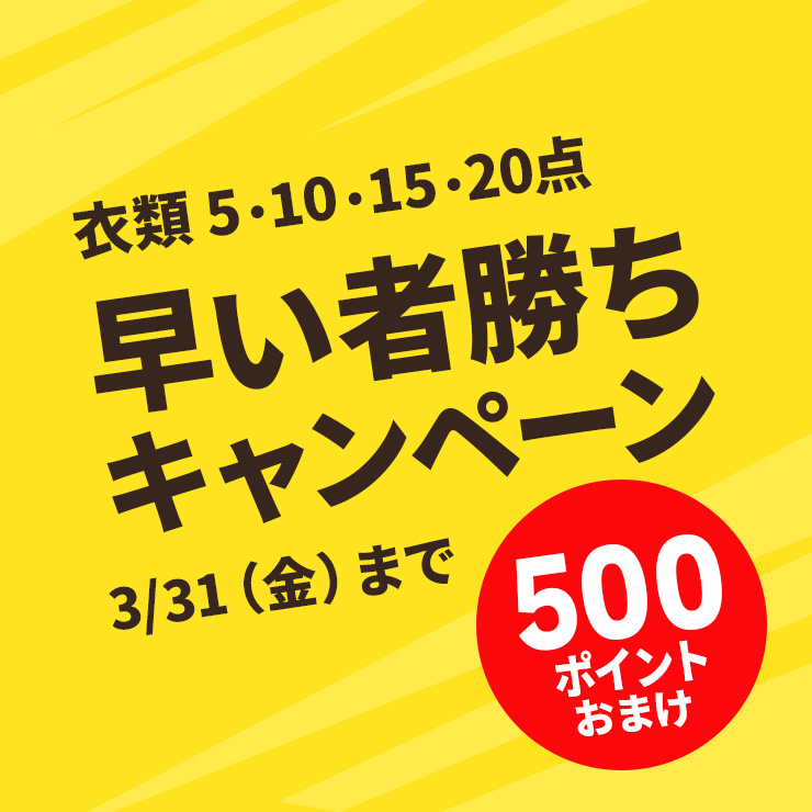早い者勝ち500ポイントおまけキャンペーン