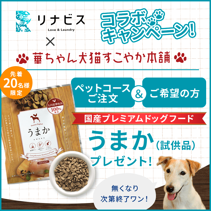 先着20名様限定!うまかプレゼントキャンペーン