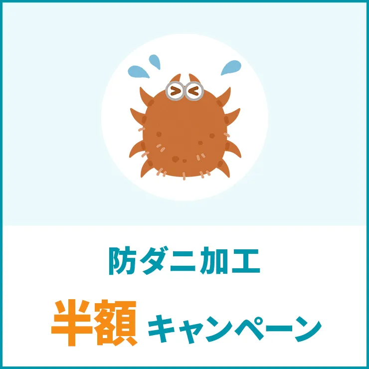 防ダニ加工　半額キャンペーン