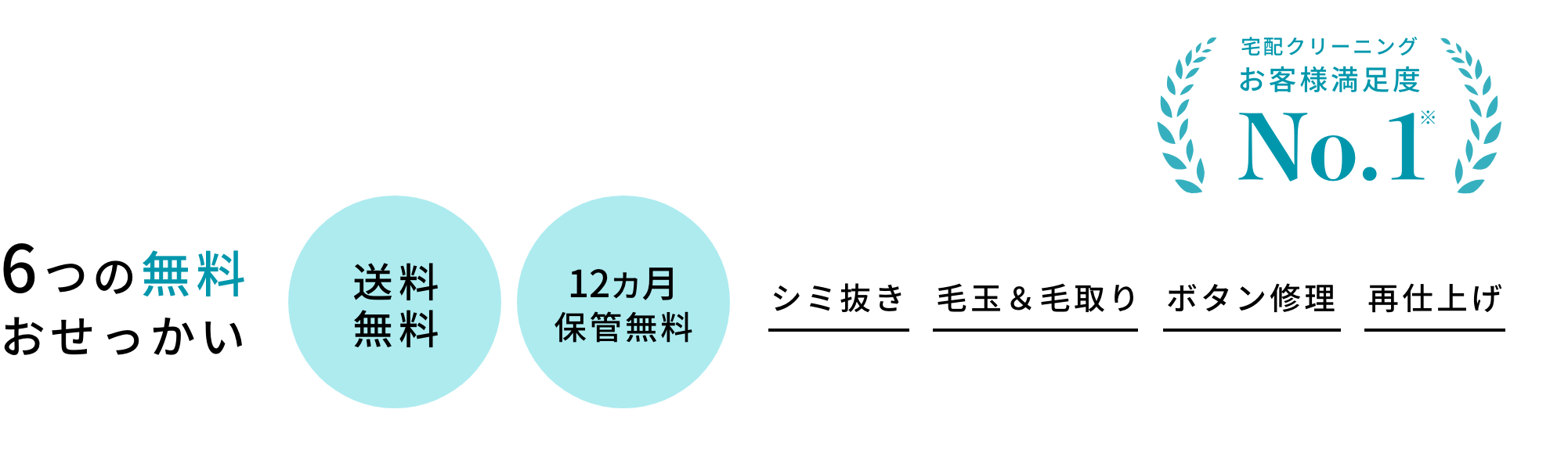 6つの無料おせっかい 送料無料/12カ月保管無料/シミ抜き/毛玉取り/ボタン修理/再仕上げ