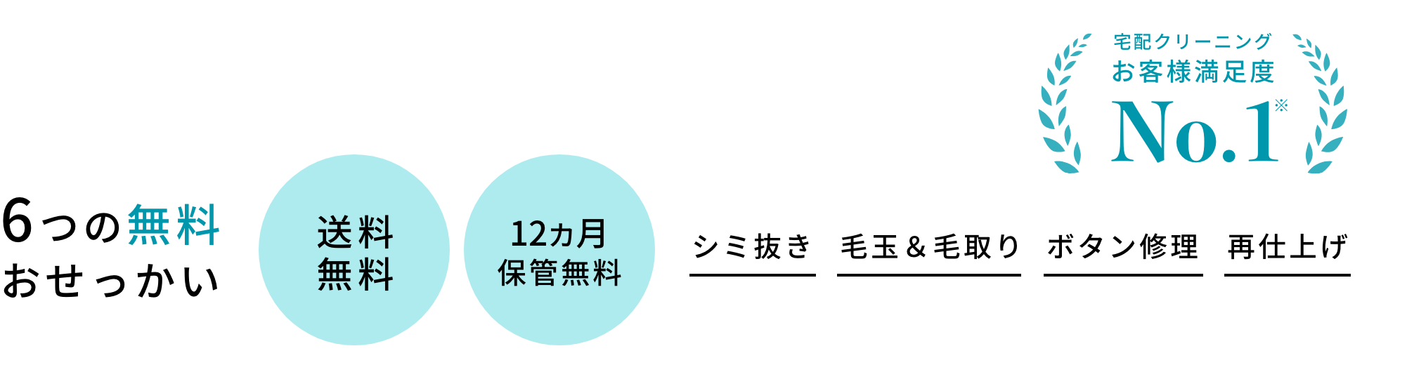 6つの無料おせっかい 送料無料/12カ月保管無料/シミ抜き/毛玉取り/ボタン修理/再仕上げ