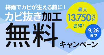 カビ抜き加工無料キャンペーン