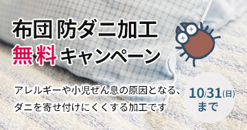 布団防ダニ加工無料キャンペーン