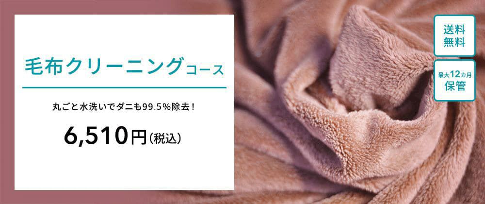 毛布クリーニング 12ヶ月無料保管付 おせっかいな宅配クリーニングのリナビス